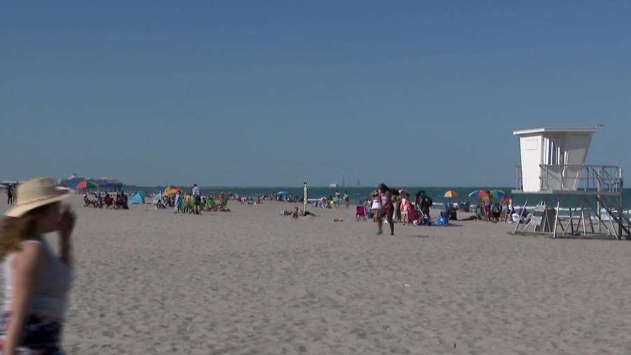12-year-old airlifted after suspected shark bite