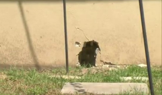 Dunedin woman gets help after being left with holes in home