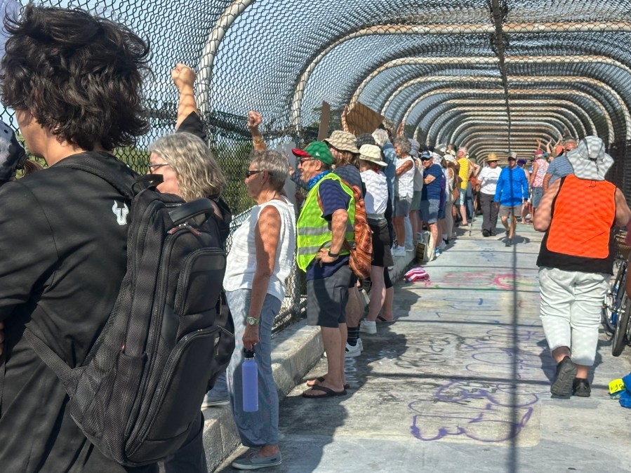 Dozens across Tampa Bay participate in May Day demonstrations opposing Trump Admin