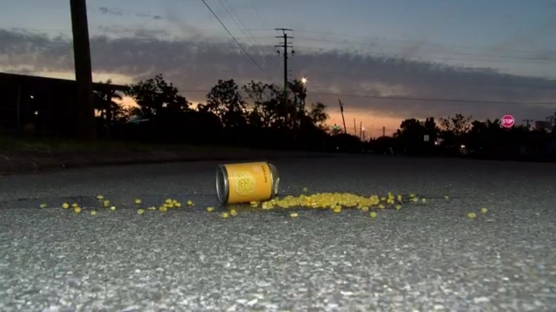Man known to throw canned food around neighborhood arrested after corn goes through window: affidavit