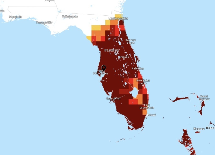 Sweltering: Tampa sees warmest May morning on record