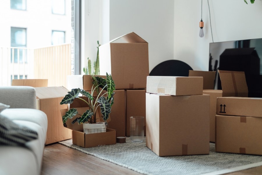 Tampa Bay among most moved-out areas in America: PODS