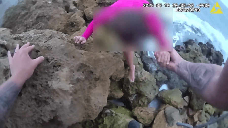 WATCH: Clearwater officer rescues missing girl with autism found near water