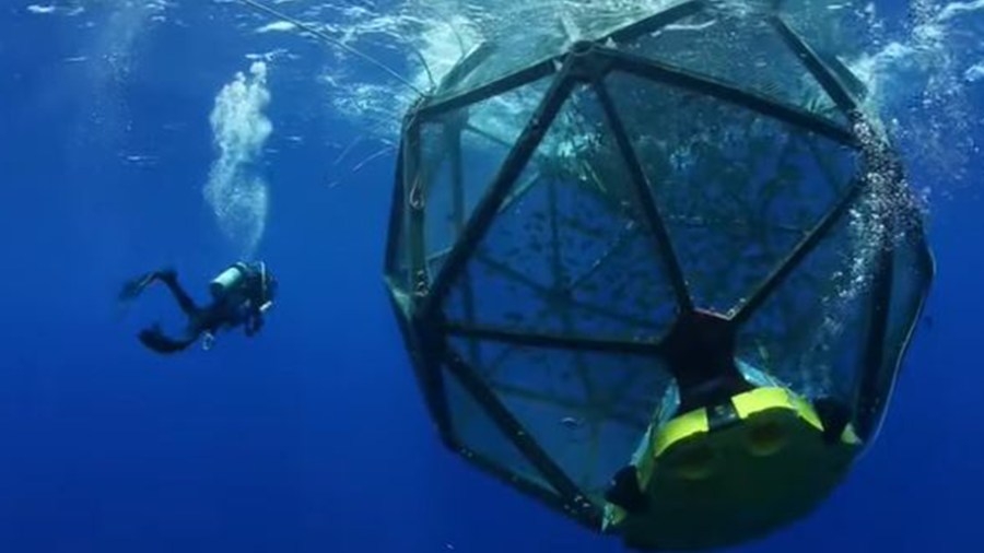 EPA grants permit for fish farm demonstration off Sarasota County coast