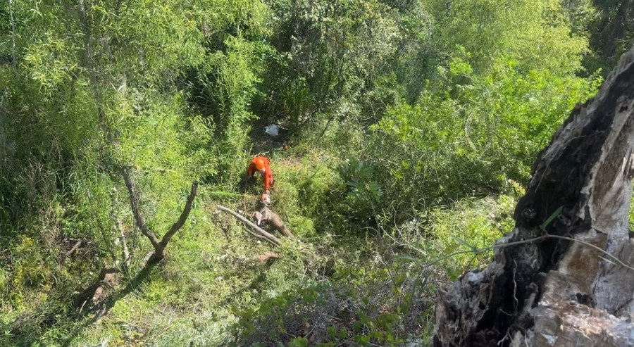 $7.5M in additional funds approved for Manatee County canal cleanup ahead of hurricane season