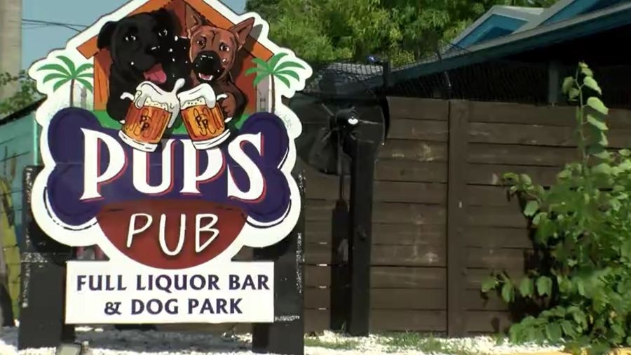 Tampa dog bar forced to shut down after losing legal battle with state