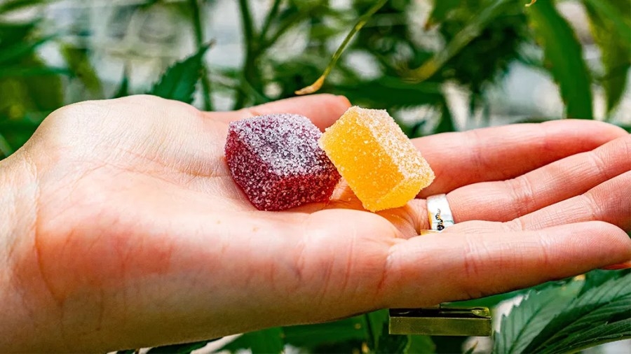 Florida's 1st licensed hemp retail company speaks out about Tampa police raid