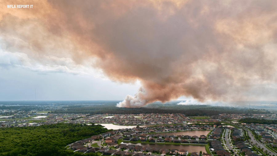 PHOTOS: Brush fire at Alafia River State Park