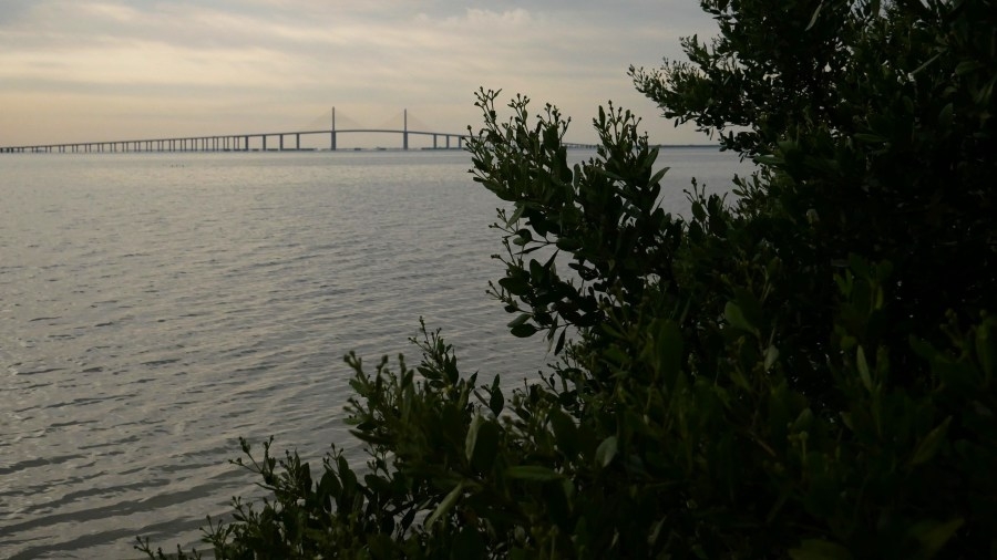 Pinellas Co. parks still recovering from storm damage