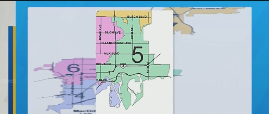 Tampa voters weigh in on District 5 city council candidates