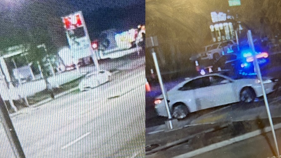 Toddler, infant killed in Sarasota hit-and-run crash, mother in critical condition, police say