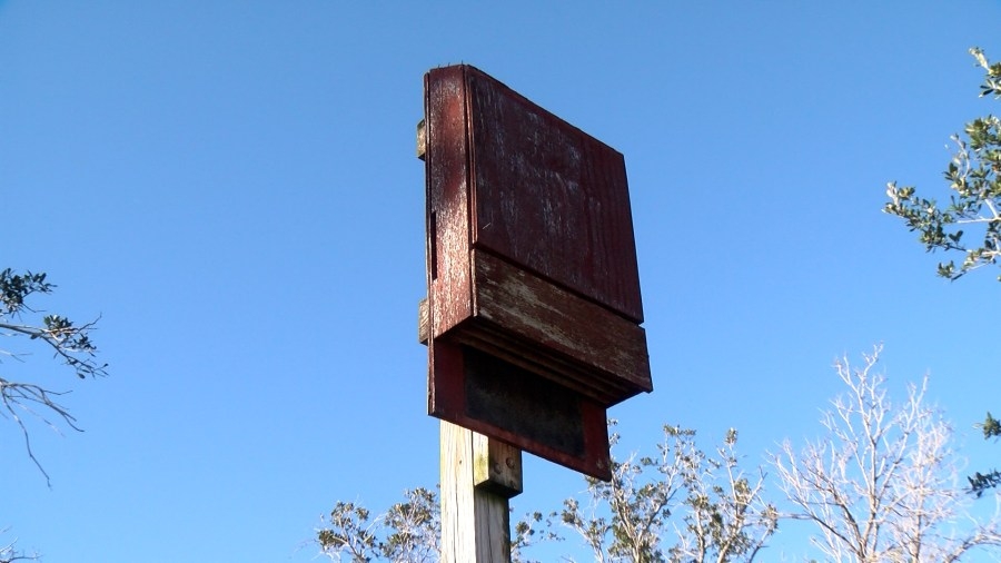 Could bat houses destroyed by hurricanes mean more mosquitoes this summer?