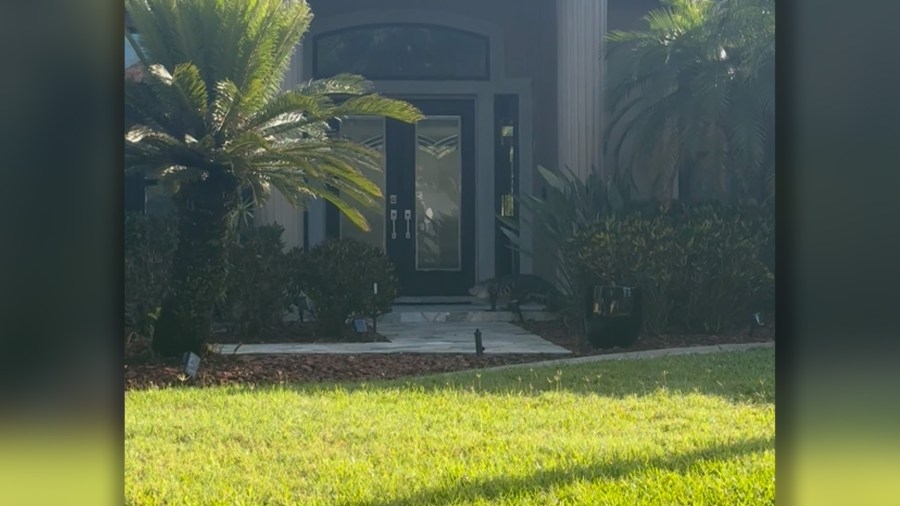 VIDEO: Gator shows up at Oldsmar home in ‘Jurassic Park'-like moment