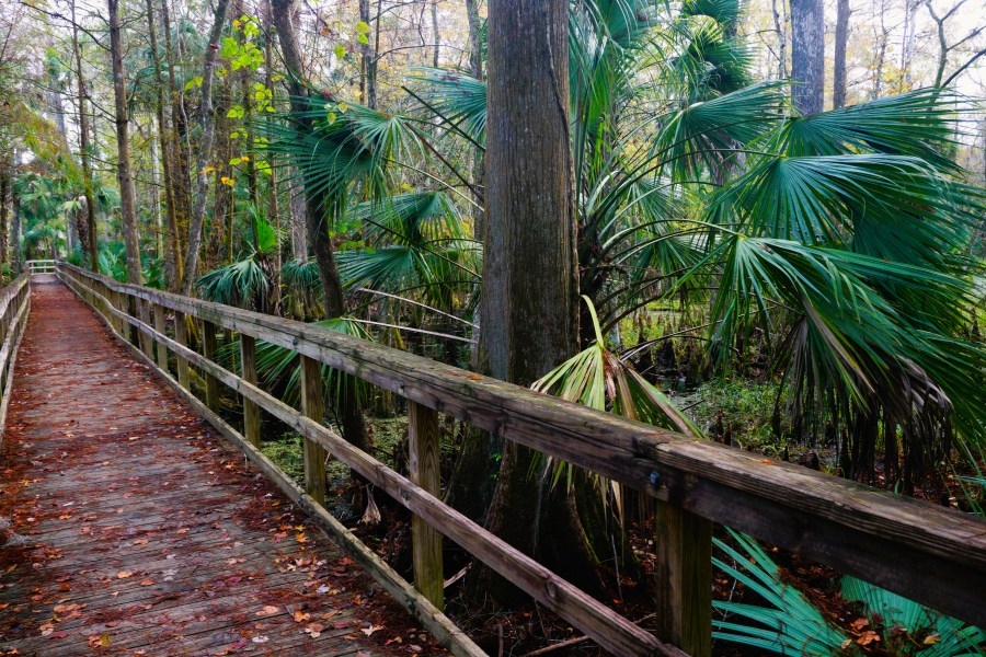 Legislation aimed at protecting Florida state parks stuck in committee