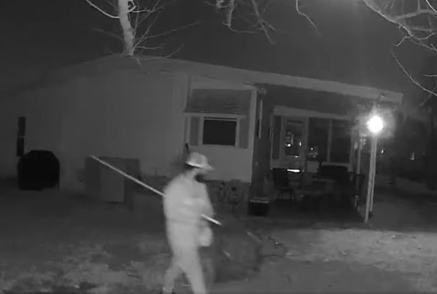 Suspects sought after 2 swans, their 4 eggs stolen from Lakeland community: deputies