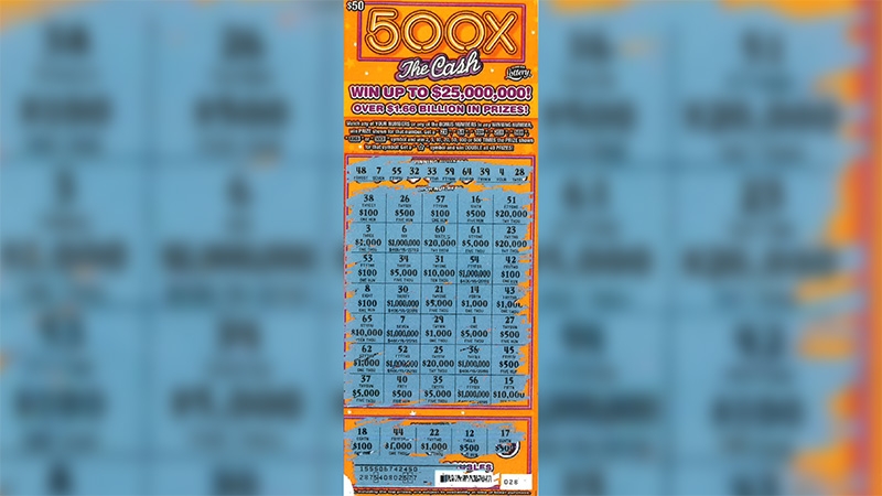 Man win $1 million after buying $50 scratch-off at South Tampa Publix