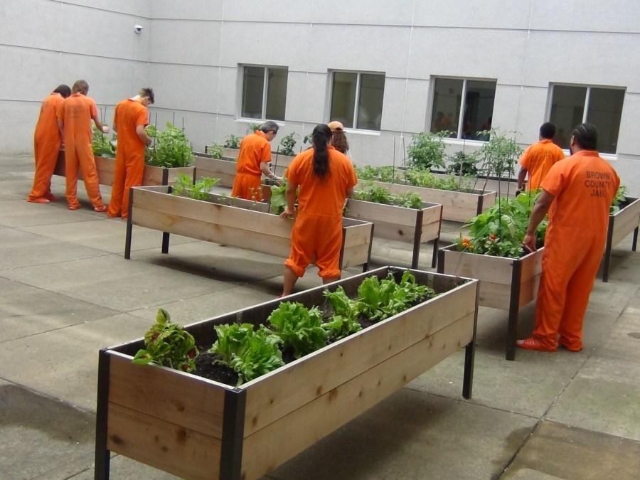Brown County Jail's garden program shows significant growth in second year, donations to Paul's Pantry