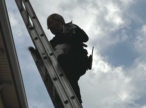 Community Service Officer in Wisconsin goes above and beyond to rescue cat stuck on a roof