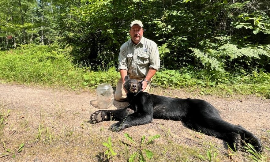 DNR: Bear with head stuck in a jar successfully rescued in Northern Wisconsin