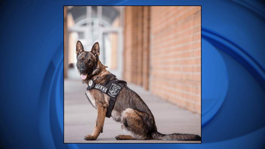 Police Department in Wisconsin mourns loss of retired K-9 born in Germany, aided in high risk searches