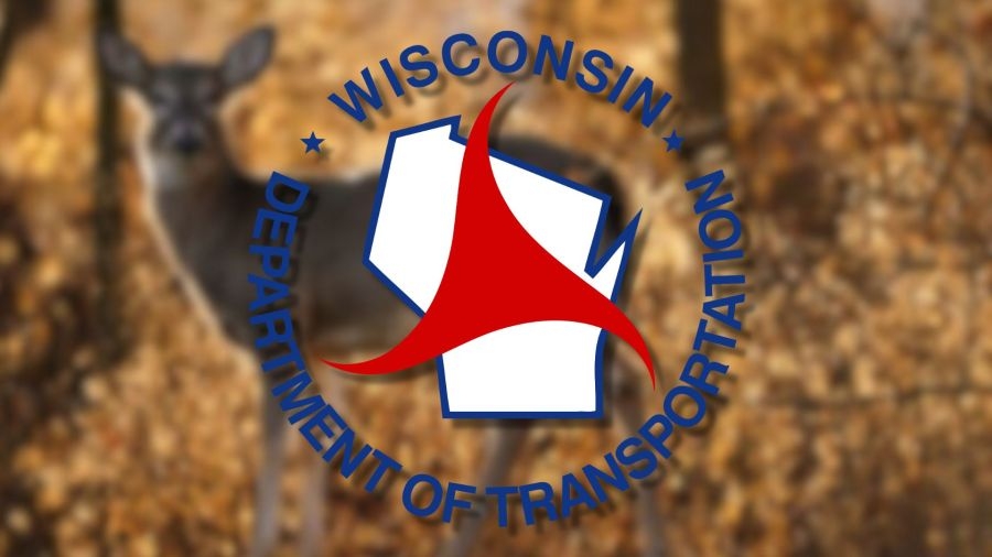 WisDOT: Deer crashes rise during late spring, officials urge drivers to stay alert