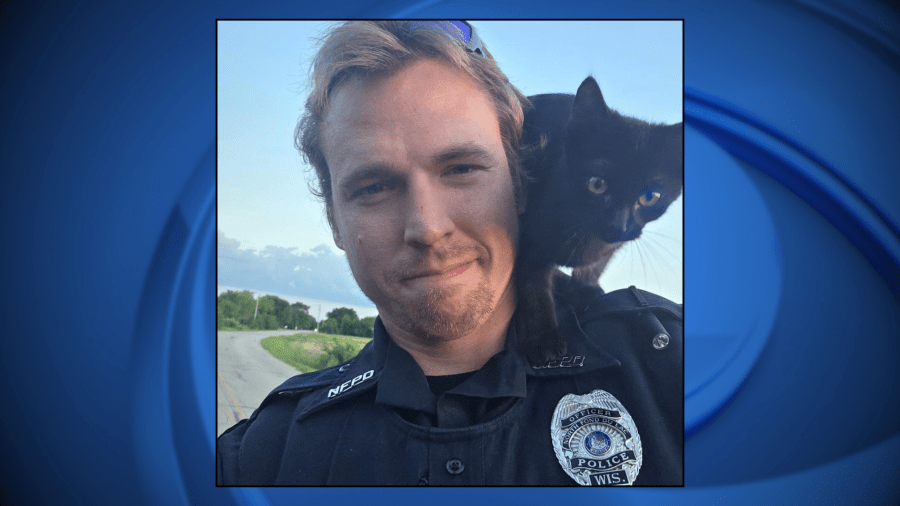 Police officer in Wisconsin ‘adopted' by a cuddly partner during routine traffic stop
