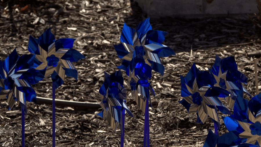 Family Services of Northeast Wisconsin hosts Pinwheels for Prevention to raise awareness in fight against child abuse