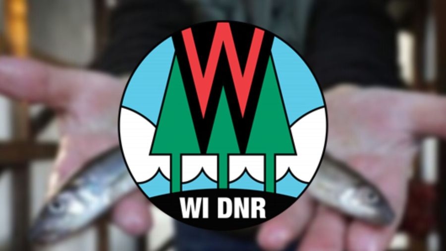 Wisconsin DNR: Over 5 million fish stocked throughout Great Lakes, inland waters in 2024