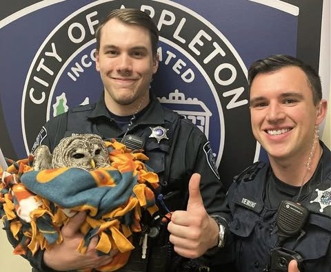 Hoot-dini escapes catastrophe, rescued by the Appleton Police Department following collision