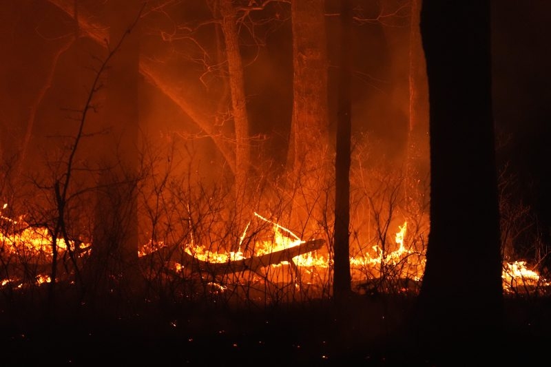 80-acre fire spreads in Juneau County, dozens of homes evacuated
