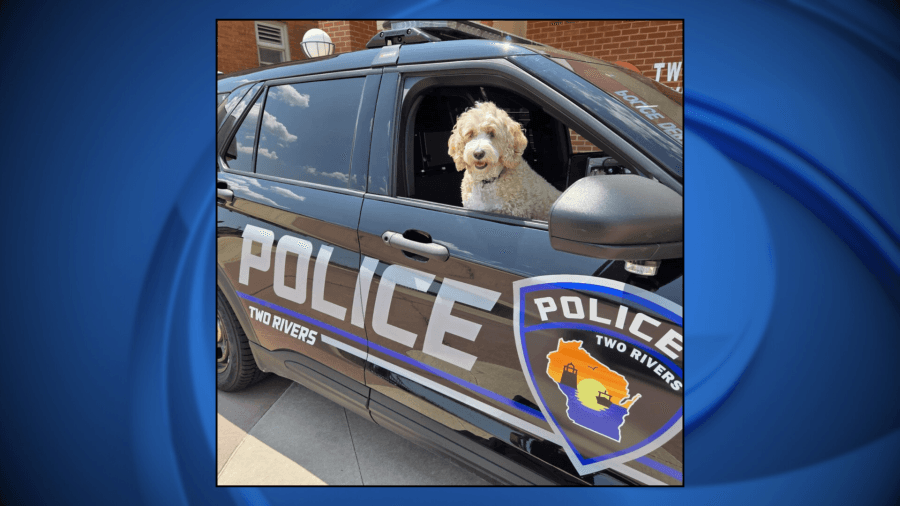 ‘Opening a window doesn't protect': Two Rivers Police remind residents not to leave children & pets in vehicles