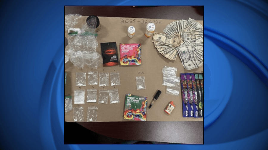 Police in Wisconsin arrest 15 people, handout nearly 200 citations during 2025 country music festival