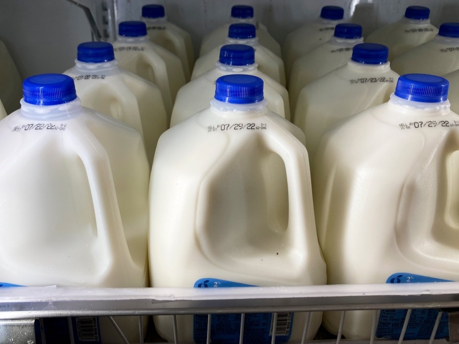 Wisconsin to start new mandatory milk testing to protect public health