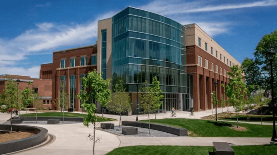 UW-Eau Claire faculty member removed from role after election-related incident