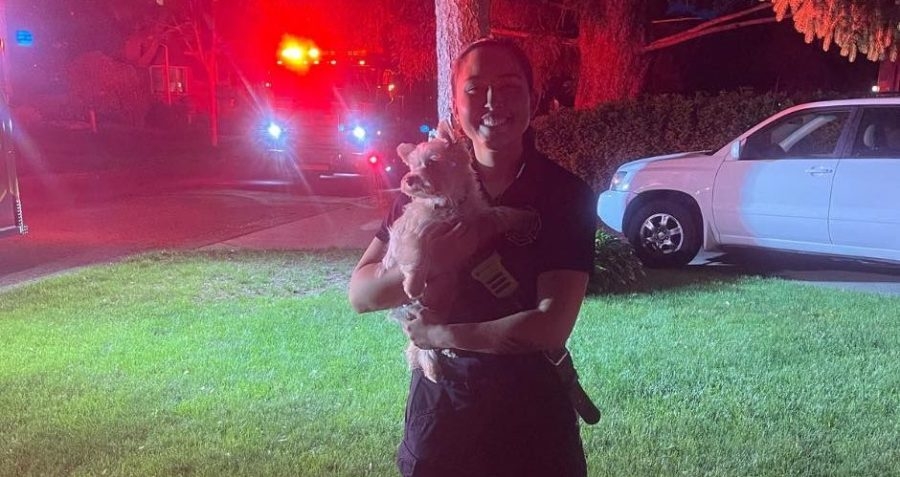 Firefighter & Emergency Medical Technician in Wisconsin rescues dog stuck under deck