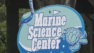 Volusia County's Marine Science Center reopening after $4.2M Renovation