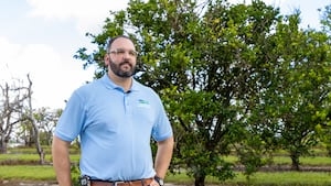 Meet the tree that could save Florida's citrus industry