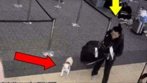 Surveillance video captures woman accused of drowning dog at airport, police say