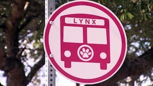 Seminole County leaders to choose Lynx replacement service Tuesday