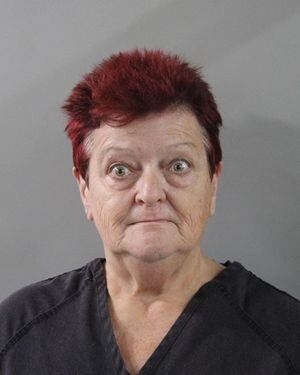 16 counts of animal cruelty and neglect issued to Polk County woman