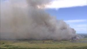 Prescribed burns by OUC were conducted to reduce brush buildup that can fuel wildfires