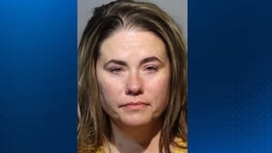 Woman arrested at Sanford airport after hitting child on plane who called her ‘fat,' police say