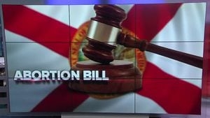 Florida Democrats file legislation to overturn abortion ban
