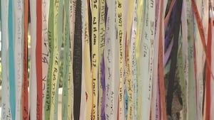 Orlando displays 49 ribbons to honor victims of Pulse nightclub massacre