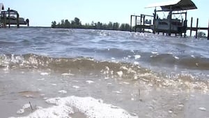 Millions of clams being dropped along the Indian River Lagoon