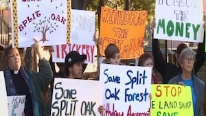 Survey stakes appear in Split Oak Forest as county worries road project is ‘done deal'