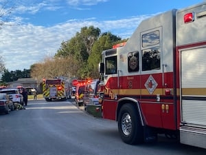 Fire destroys sheds in Altamonte Springs, claims lives of multiple dogs