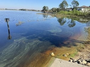 Blue-green algae alert issued for Orange County lake by Department of Health