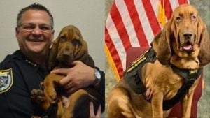 Brevard County Sheriff to honor life of beloved K-9 ‘Junny' on Tuesday
