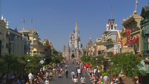 Florida hits record 142.9M visitors in 2024 as tourism industry rebounds